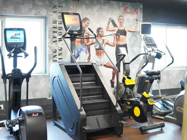 Fitness9 Karkhana — step climber machine