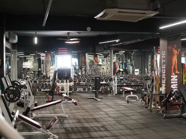 Fitness9 Karkhana — weights and strength area